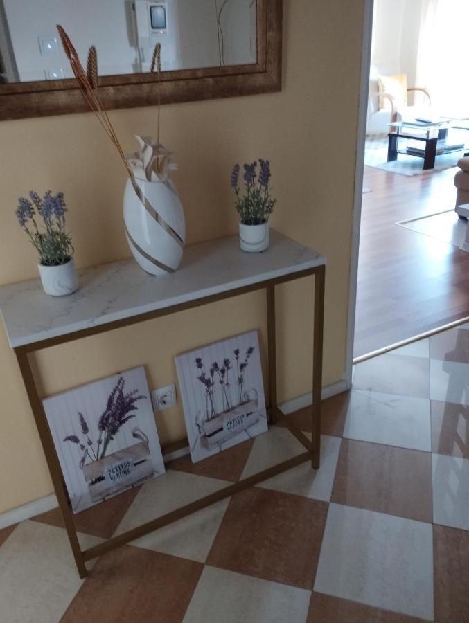 Alameda Residence Томар Екстер'єр фото